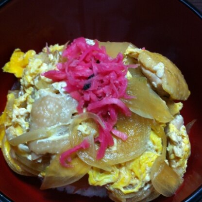 海苔とネギがなかったので、紅生姜をトッピングしました。
麺つゆのみの味付けは、簡単で美味しかったです(^○^)
ごちそうさまでした。